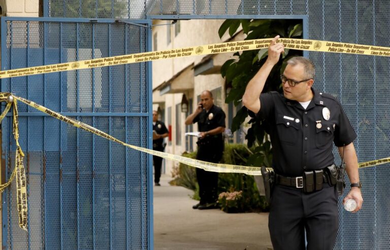 According to police, violent crimes in Los Angeles decreased in 2024.